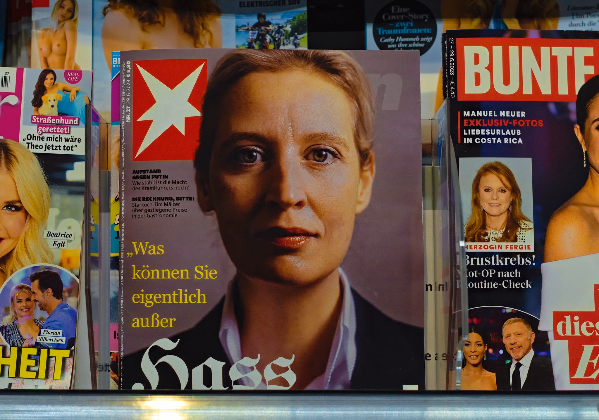 Ganz normal? Alice Weidel auf dem Cover des Stern